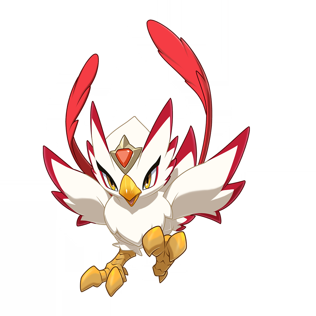 长尾火鸟