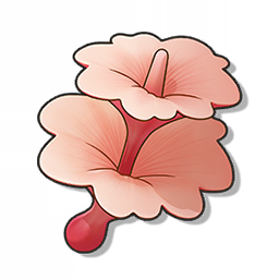 伞伞菌