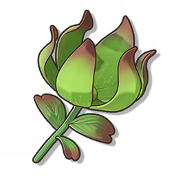 喵喵草