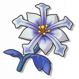 星霜花