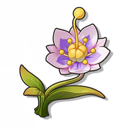 海桑花