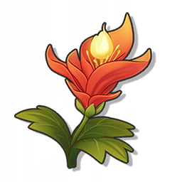 火焰花