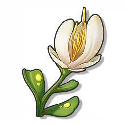 藻羽花