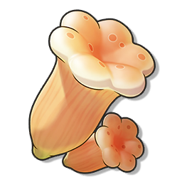 蜜黄菌