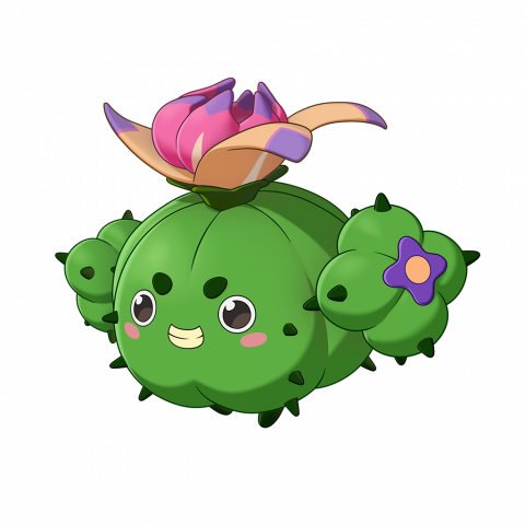 蹦蹦草(彩玉球形态)