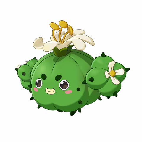 蹦蹦草(象牙球形态)