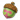 精灵果实