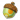 精灵果实