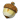 精灵果实