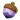 精灵果实