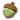 精灵果实