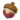 精灵果实