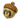 精灵果实