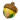 精灵果实