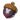 精灵果实