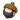精灵果实