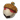 精灵果实
