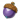 精灵果实