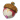 精灵果实