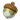 精灵果实